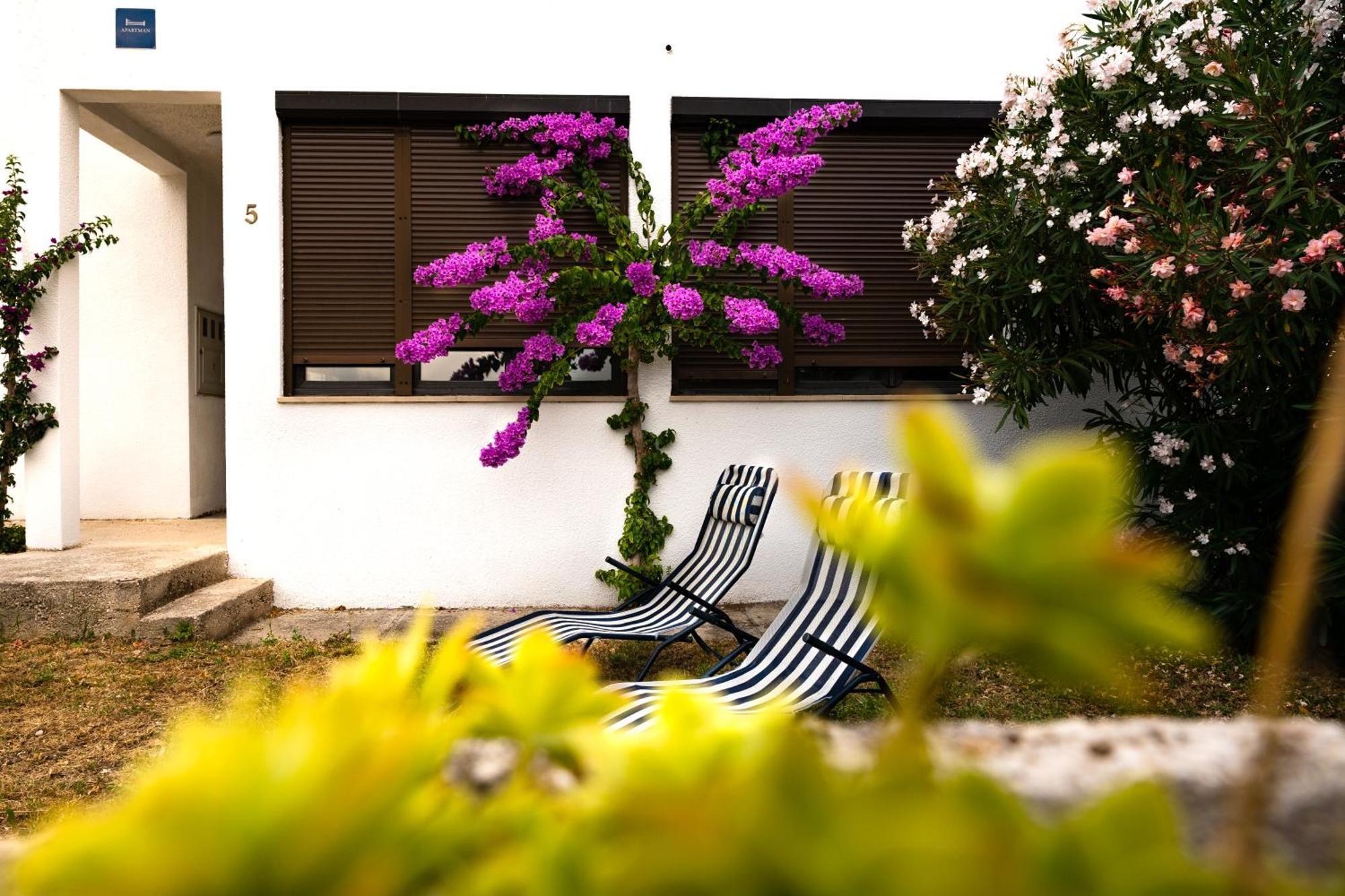 Apartments Dida Sime Starigrad Paklenica Eksteriør billede